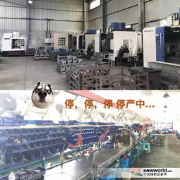 環保風暴下小工廠的生存困境 價格優勢不再，轉型之路何在？